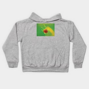 Wild Garlic - Allium vineale Kids Hoodie